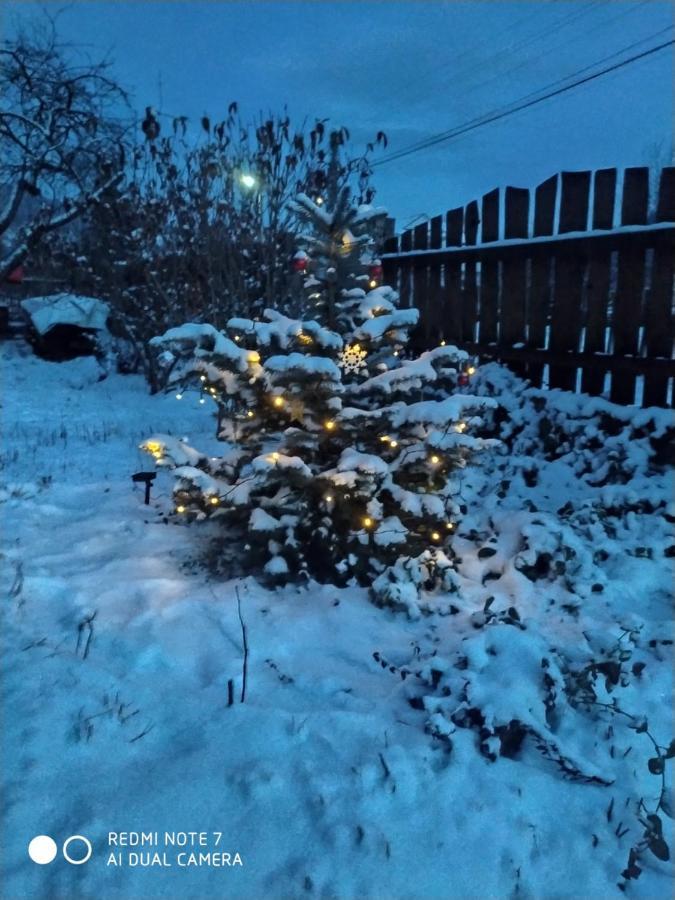 Котедж Кресаня Mykulychyn Ngoại thất bức ảnh